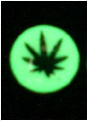 Светонакопительные сережки-гвоздики(люмин-ые) Canabis, 10мм, цвет:зелено-желтый (1 шт) - вид 1 миниатюра