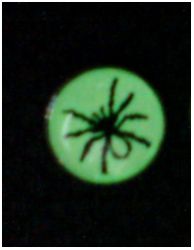 Светонакопительные сережки-гвоздики(люмин-ые) Паук , 10мм, цвет:зелено-желтый (1 шт) - вид 1 миниатюра