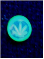 Флуоресцентные, светящиеся в ультрафиолете, сережки-гвоздики, Canabis , цвет: зеленый, 10 мм(1 шт.) - вид 1 миниатюра