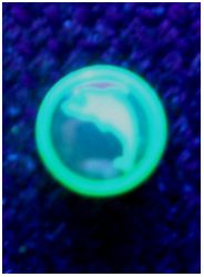 Флуоресцентные, светящиеся в ультрафиолете, сережки-гвоздики, Дельфин , цвет: зеленый, 10 мм(1 шт.) - вид 1 миниатюра