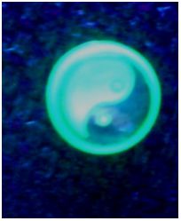 Флуоресцентные, светящиеся в ультрафиолете, сережки-гвоздики, Инь-Янь , цвет: зеленый, 10 мм(1 шт.) - вид 1 миниатюра