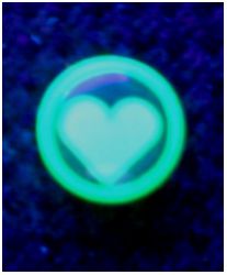 Флуоресцентные, светящиеся в ультрафиолете, сережки-гвоздики, Сердце , цвет: зеленый, 10 мм(1 шт.) - вид 1 миниатюра