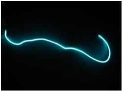 Световой провод сверхяркий (двойной сердечник), диаметр 5мм, цвет: салатовый. м.п. - вид 1 миниатюра