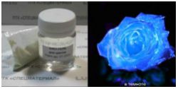 Комплект "Glow Flowers" Blue для нанесения на цветы и растения: прозрачный природный матовый био-гель (50 г) + 15 г люминофора 40 мкн, свечение в темноте синий 4 часа - вид 1 миниатюра