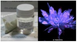 Комплект "Glow Flowers" Purple для нанесения на цветы и растения: прозрачный природный матовый био-гель (50 г) + 15 г люминофора 40 мкн, свечение в темноте фиолетовое 30-60 минут - вид 1 миниатюра