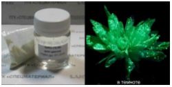 Комплект "Glow Flowers" Green для нанесения на цветы и растения: прозрачный природный матовый био-гель (50 г) + 15 г люминофора 40 мкн, свечение в темноте зелено-желтое 4-6 часов - вид 1 миниатюра