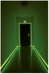 Лента Luminofor Tape люминесцентная шириной 5 см, длиной 100 см - вид 1 миниатюра