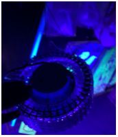 Светодиодный подвесной круговой ультрафиолетовый светильник UV LED 220В 100Вт /120° - вид 3 миниатюра