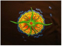 Маркер "The FABRIC" флуоресцентный ЗЕЛЕНЫЙ, несмываемый для рисунков по светлым тканям, D=1 mm - вид 1 миниатюра